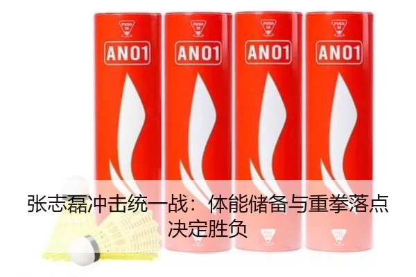 张志磊冲击统一战：体能储备与重拳落点决定胜负