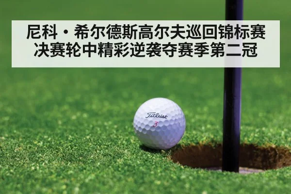 尼科·希尔德斯高尔夫巡回锦标赛决赛轮中精彩逆袭夺赛季第二冠